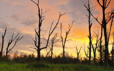 生物質能資源數據庫信息系統 賦能綠色能源發展的數字基石